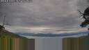 ./images/calvert/fitz-hugh-hecate/20250628/fitz-hugh-hecate20250628_165010M.jpg