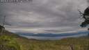 ./images/calvert/fitz-hugh-hecate/20250628/fitz-hugh-hecate20250628_165508M.jpg