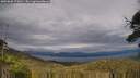./images/calvert/fitz-hugh-hecate/20250628/fitz-hugh-hecate20250628_170010M.jpg
