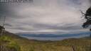 ./images/calvert/fitz-hugh-hecate/20250628/fitz-hugh-hecate20250628_170508M.jpg