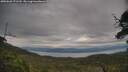 ./images/calvert/fitz-hugh-hecate/20250628/fitz-hugh-hecate20250628_171510M.jpg