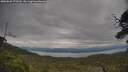 ./images/calvert/fitz-hugh-hecate/20250628/fitz-hugh-hecate20250628_172510M.jpg