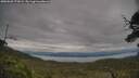 ./images/calvert/fitz-hugh-hecate/20250628/fitz-hugh-hecate20250628_173008M.jpg
