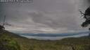 ./images/calvert/fitz-hugh-hecate/20250628/fitz-hugh-hecate20250628_173508M.jpg