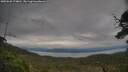 ./images/calvert/fitz-hugh-hecate/20250628/fitz-hugh-hecate20250628_174010M.jpg
