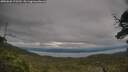 ./images/calvert/fitz-hugh-hecate/20250628/fitz-hugh-hecate20250628_175510M.jpg