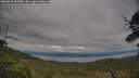 ./images/calvert/fitz-hugh-hecate/20250628/fitz-hugh-hecate20250628_180009M.jpg