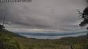 ./images/calvert/fitz-hugh-hecate/20250628/fitz-hugh-hecate20250628_180510M.jpg