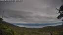 ./images/calvert/fitz-hugh-hecate/20250628/fitz-hugh-hecate20250628_181510M.jpg