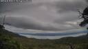 ./images/calvert/fitz-hugh-hecate/20250628/fitz-hugh-hecate20250628_185009M.jpg