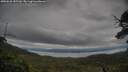 ./images/calvert/fitz-hugh-hecate/20250628/fitz-hugh-hecate20250628_185510M.jpg