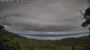 ./images/calvert/fitz-hugh-hecate/20250628/fitz-hugh-hecate20250628_190506M.jpg