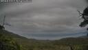 ./images/calvert/fitz-hugh-hecate/20250628/fitz-hugh-hecate20250628_193508M.jpg