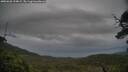 ./images/calvert/fitz-hugh-hecate/20250628/fitz-hugh-hecate20250628_194009M.jpg