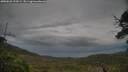 ./images/calvert/fitz-hugh-hecate/20250628/fitz-hugh-hecate20250628_195009M.jpg