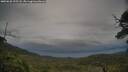 ./images/calvert/fitz-hugh-hecate/20250628/fitz-hugh-hecate20250628_195508M.jpg