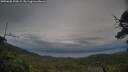 ./images/calvert/fitz-hugh-hecate/20250628/fitz-hugh-hecate20250628_200009M.jpg