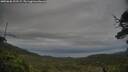 ./images/calvert/fitz-hugh-hecate/20250628/fitz-hugh-hecate20250628_202508M.jpg
