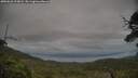 ./images/calvert/fitz-hugh-hecate/20250628/fitz-hugh-hecate20250628_203008M.jpg