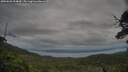 ./images/calvert/fitz-hugh-hecate/20250628/fitz-hugh-hecate20250628_204009M.jpg