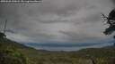 ./images/calvert/fitz-hugh-hecate/20250628/fitz-hugh-hecate20250628_210008M.jpg