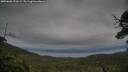 ./images/calvert/fitz-hugh-hecate/20250628/fitz-hugh-hecate20250628_211008M.jpg