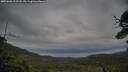 ./images/calvert/fitz-hugh-hecate/20250628/fitz-hugh-hecate20250628_212508M.jpg