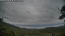 ./images/calvert/fitz-hugh-hecate/20250628/fitz-hugh-hecate20250628_213009M.jpg