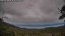 ./images/calvert/fitz-hugh-hecate/20250628/fitz-hugh-hecate20250628_214007M.jpg
