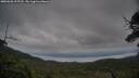 ./images/calvert/fitz-hugh-hecate/20250628/fitz-hugh-hecate20250628_215508M.jpg