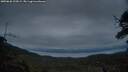 ./images/calvert/fitz-hugh-hecate/20250628/fitz-hugh-hecate20250628_222009M.jpg