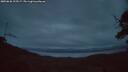 ./images/calvert/fitz-hugh-hecate/20250628/fitz-hugh-hecate20250628_223507M.jpg