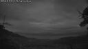 ./images/calvert/fitz-hugh-hecate/20250628/fitz-hugh-hecate20250628_224508M.jpg