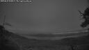 ./images/calvert/fitz-hugh-hecate/20250629/fitz-hugh-hecate20250629_044009M.jpg
