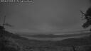 ./images/calvert/fitz-hugh-hecate/20250629/fitz-hugh-hecate20250629_044508M.jpg
