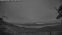 ./images/calvert/fitz-hugh-hecate/20250629/fitz-hugh-hecate20250629_045009M.jpg