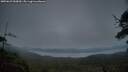 ./images/calvert/fitz-hugh-hecate/20250629/fitz-hugh-hecate20250629_050009M.jpg