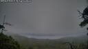 ./images/calvert/fitz-hugh-hecate/20250629/fitz-hugh-hecate20250629_051009M.jpg