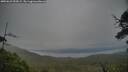 ./images/calvert/fitz-hugh-hecate/20250629/fitz-hugh-hecate20250629_053009M.jpg
