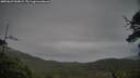 ./images/calvert/fitz-hugh-hecate/20250629/fitz-hugh-hecate20250629_054009M.jpg