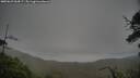 ./images/calvert/fitz-hugh-hecate/20250629/fitz-hugh-hecate20250629_054507M.jpg