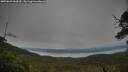 ./images/calvert/fitz-hugh-hecate/20250629/fitz-hugh-hecate20250629_064510M.jpg