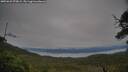 ./images/calvert/fitz-hugh-hecate/20250629/fitz-hugh-hecate20250629_070008M.jpg