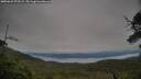 ./images/calvert/fitz-hugh-hecate/20250629/fitz-hugh-hecate20250629_070510M.jpg