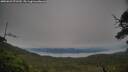 ./images/calvert/fitz-hugh-hecate/20250629/fitz-hugh-hecate20250629_071510M.jpg