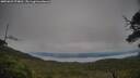 ./images/calvert/fitz-hugh-hecate/20250629/fitz-hugh-hecate20250629_074010M.jpg