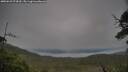 ./images/calvert/fitz-hugh-hecate/20250629/fitz-hugh-hecate20250629_074510M.jpg