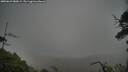 ./images/calvert/fitz-hugh-hecate/20250629/fitz-hugh-hecate20250629_080009M.jpg