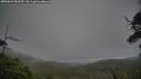 ./images/calvert/fitz-hugh-hecate/20250629/fitz-hugh-hecate20250629_082510M.jpg