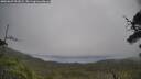 ./images/calvert/fitz-hugh-hecate/20250629/fitz-hugh-hecate20250629_092005M.jpg